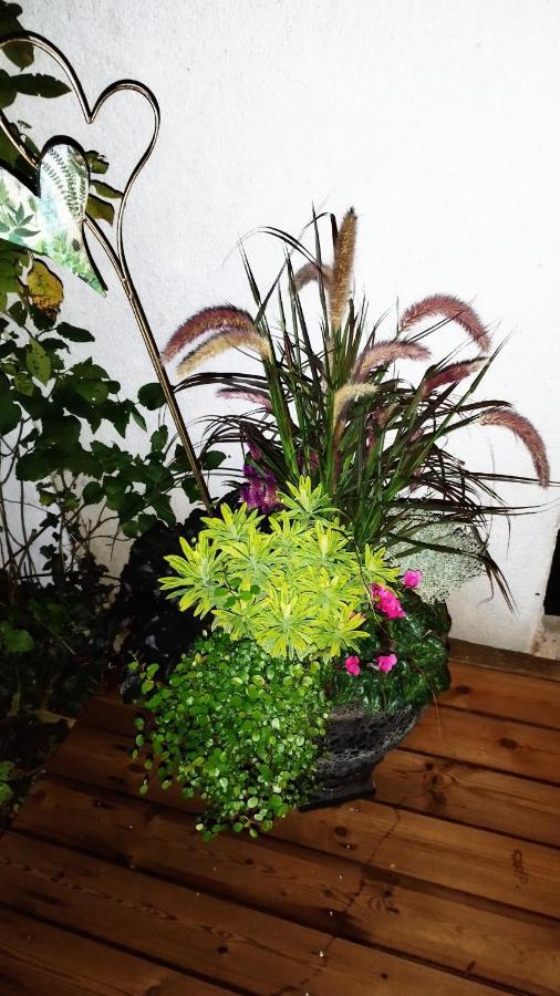 Atelier & Gardenhouse Glamping Ξενοδοχείο Μόναχο Εξωτερικό φωτογραφία